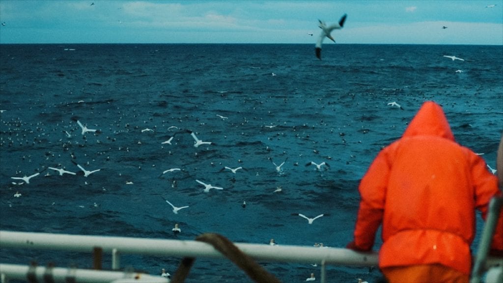 A jones act attorney in new orleans working with a Maritime Worker At Sea