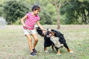 Dog Bite Attack